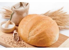 ���� ���������